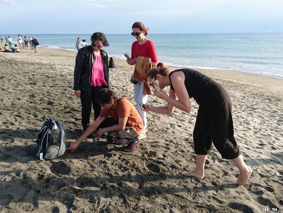 Szene am Strand - im Mittelpunkt des Interesses ist eine Art Rucksack, in dem sich eine weiße Katze befindet. Ein kauernder Junge streckt die Hand für die Katze aus, während zwei Frauen mit dem Handy Fotos machen und eine dritte Frau beobachtet.